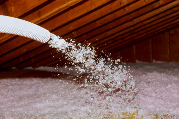 Best Spray Foam Insulation in Mlstadt, IL