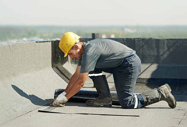 Best Geographic-Specific Insulation Services in Mlstadt, IL