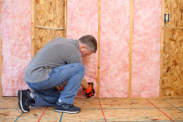 Best Spray Foam Insulation in Mlstadt, IL