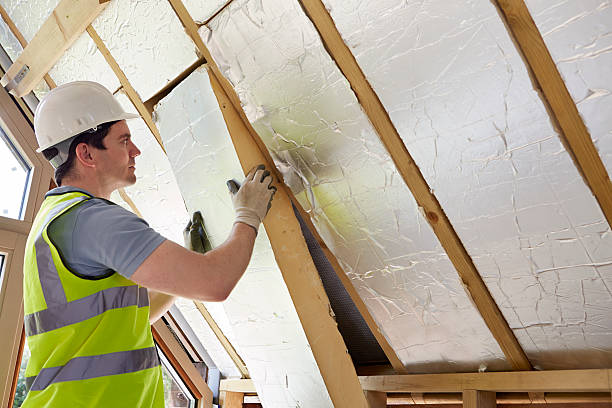 Best Specialized Insulation Services in Mlstadt, IL
