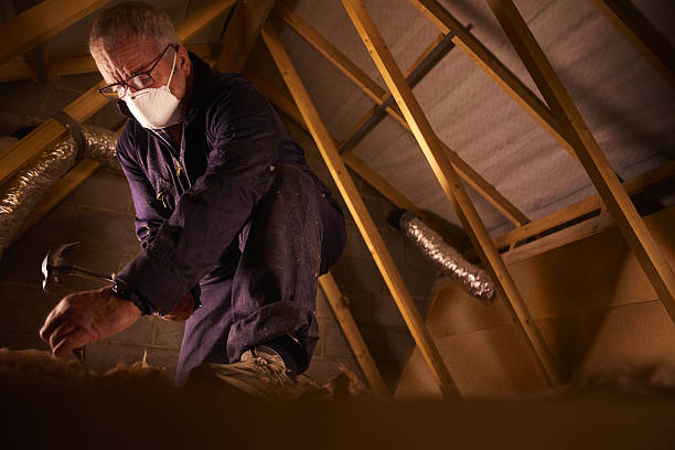 Best Commercial Insulation in Mlstadt, IL